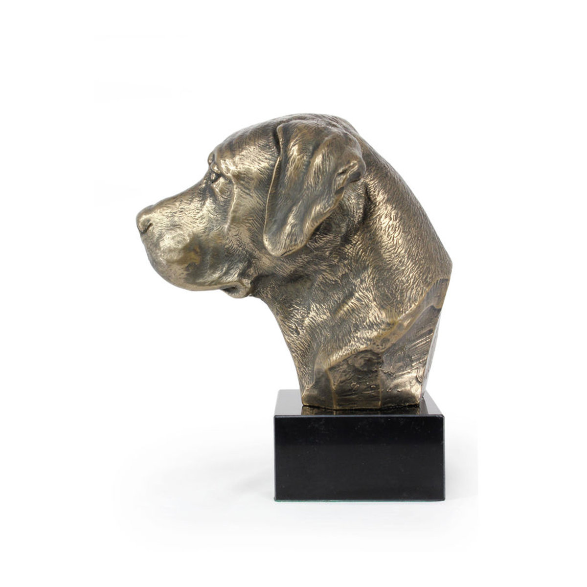 Labrador Retriever Hundestatue Art-Dog als Büste auf Steinsockel in Braun - Bild 8