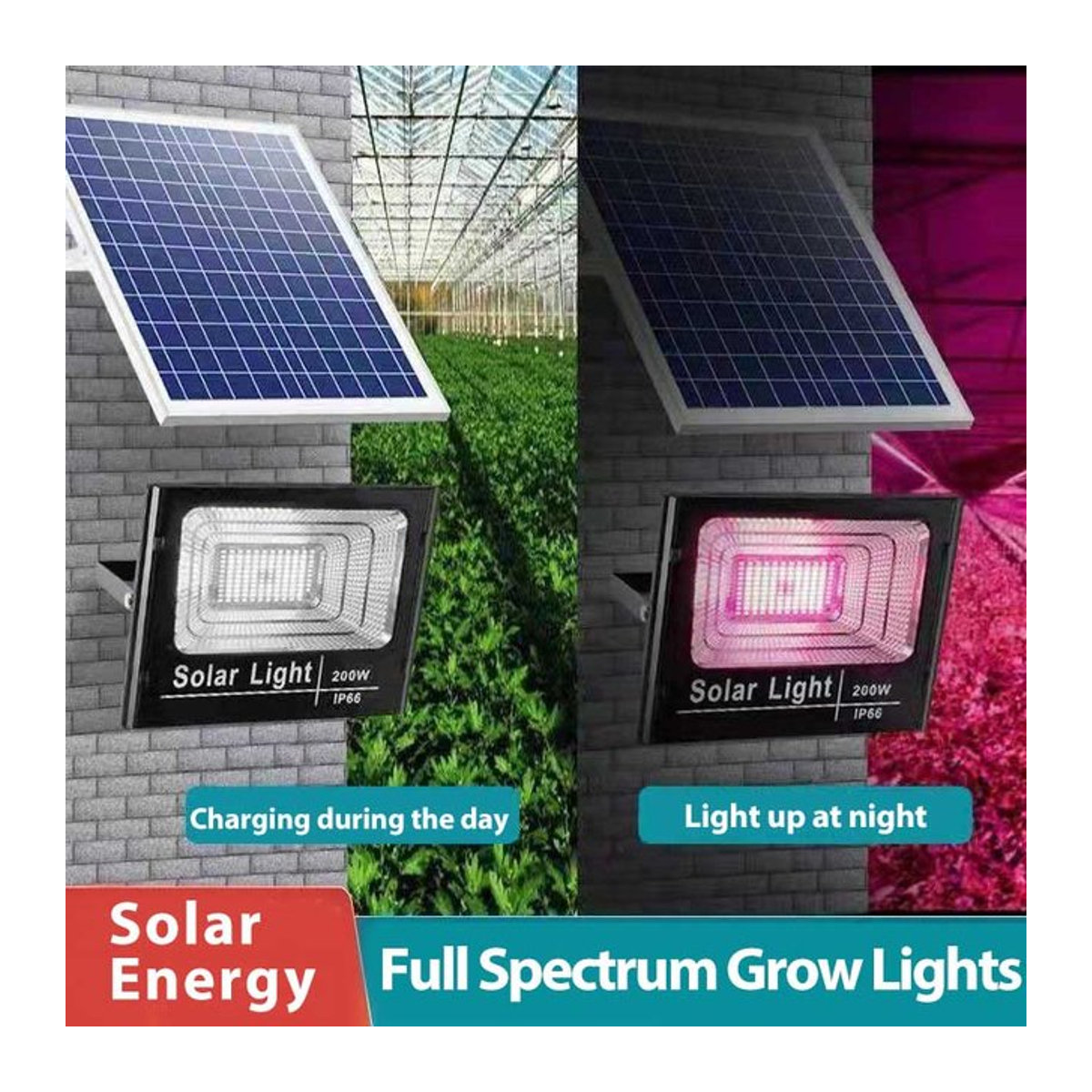 Leclstar Solarbetriebene LED-Pflanzen-Wachstumslichter mit Fernbedienung, dimmbare Vollspektrum-Garten-Wachstumslampe mit Timer für dein Gewächshaus - Bild 1