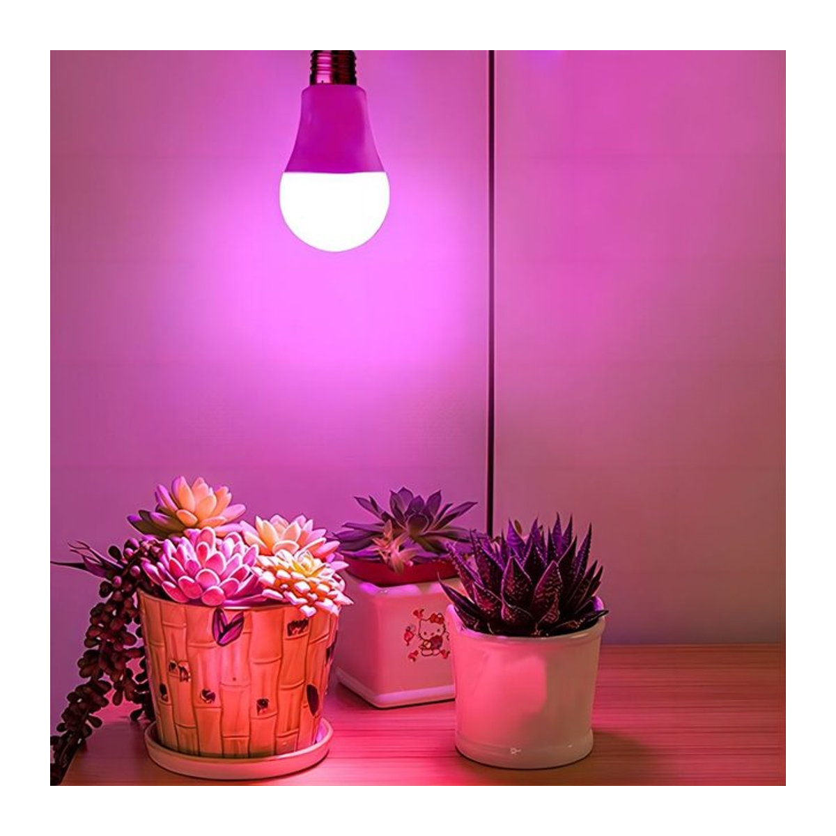 LED Pflanzenlampe mit vollem Spektrum, E27 Sockel, 11 W, A19/A60 Wachstums-Glühbirne (100 W Äquivalent) - Bild 1