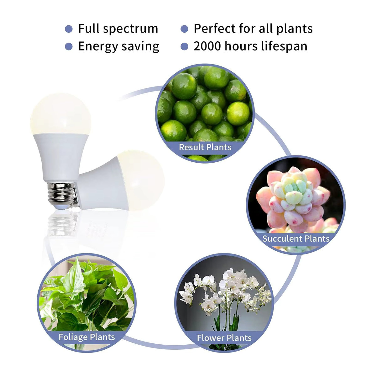LED Pflanzenlampe mit vollem Spektrum, E27 Sockel, 11 W, A19/A60 Wachstums-Glühbirne (100 W Äquivalent) - Bild 3