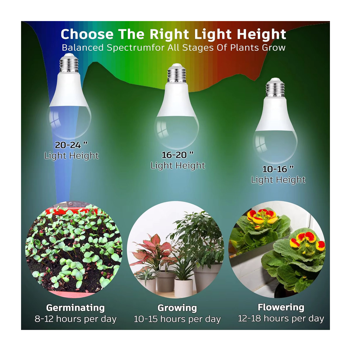 LED Pflanzenlampe mit vollem Spektrum, E27 Sockel, 11 W, A19/A60 Wachstums-Glühbirne (100 W Äquivalent) - Bild 4