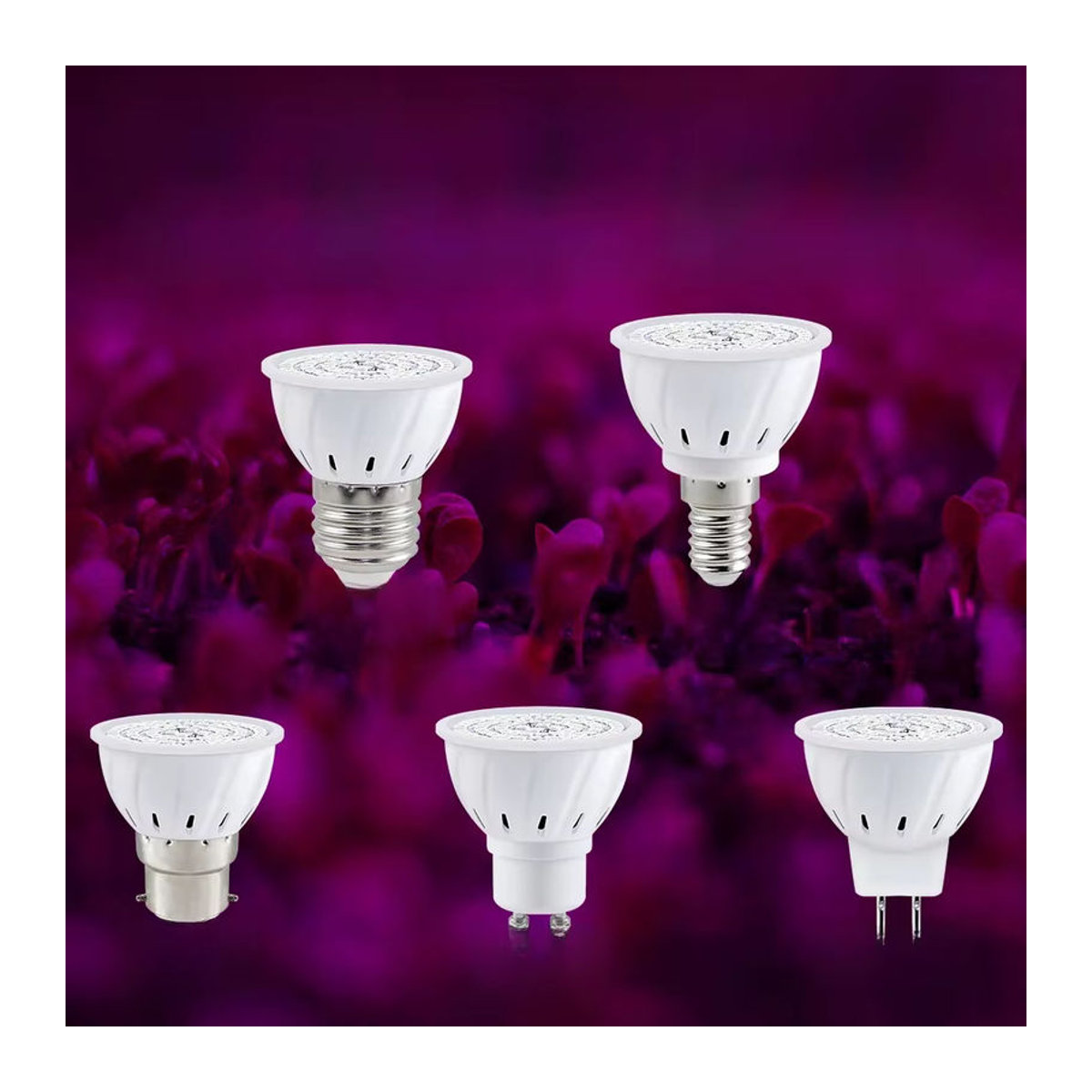 LED Vollspektrum Pflanzenlampe für Gemüseanbau und Hydrokultur in verschiedenen Fassungen wie E27, E14, GU10, MR16, GU5.3 und B22 - Bild 6