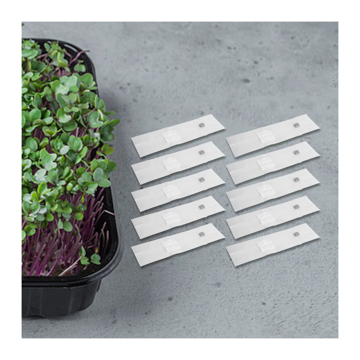 LEENKEA Pilz-Wachstumsbeutel Set, 10 Stück, sterilisiert, B/H/T: 10 x 35 x 8 cm - Bild 2