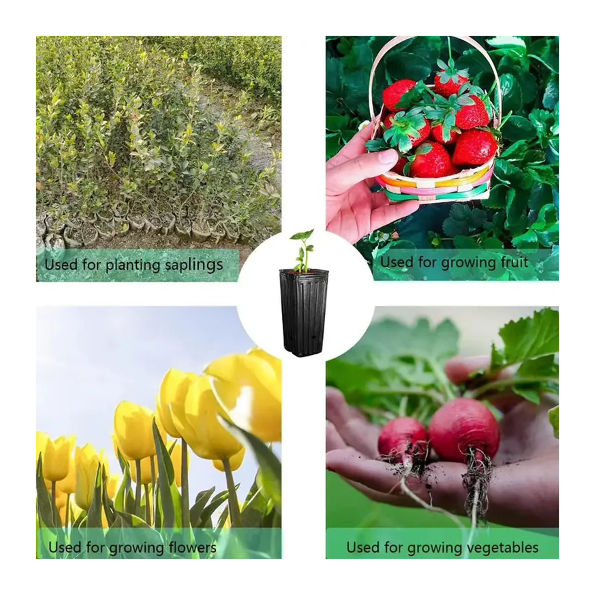 LEENKEA Quadratisches Pflanzgefäß aus Kunststoff für Aussaat und Gartenpflanzen - Bild 6