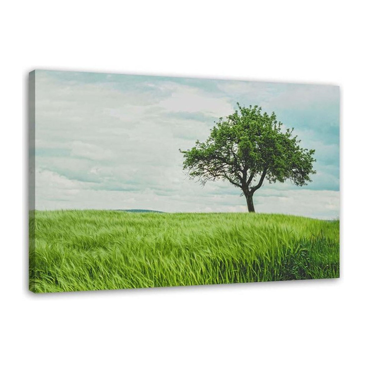 Leinwand Feeby Landschaft mit grünem Baum, Querformat, B: 60 cm, H: 40 cm - Bild 1