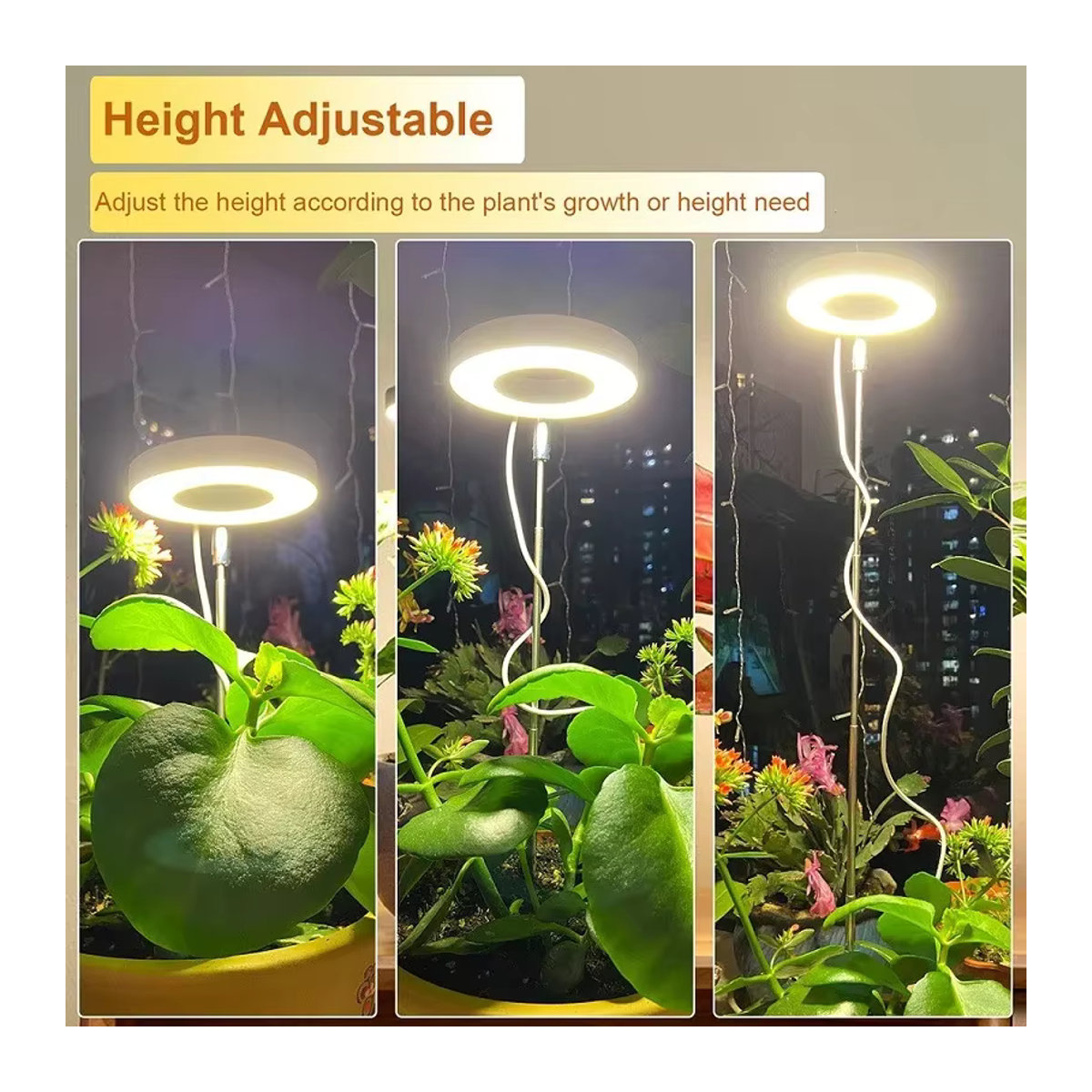 LETIITTGOO Dimmbares Vollspektrum Pflanzenwachstumslicht mit Timer und höhenverstellbarem Ring-Halo für Zimmerpflanzen in minimalistischem Design - Bild 2