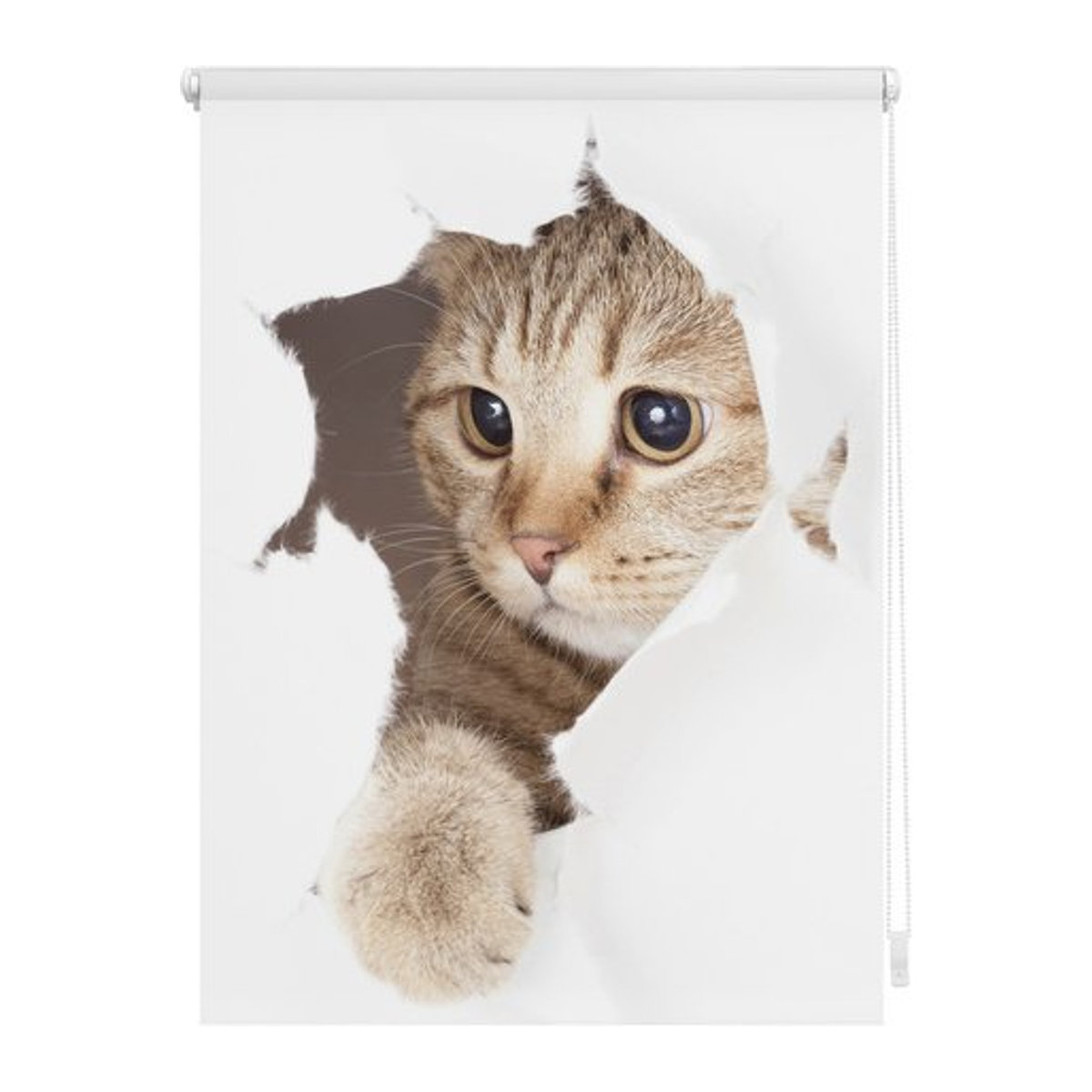 Lichtblick Klemmfix Rollo mit Katzenmotiv in Weiß und Braun, B: 60 cm x H: 150 cm - Bild 1