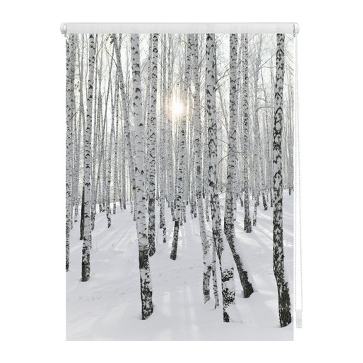 Lichtblick Rollo Klemmfix Birkenwald in Weiß, B: 90 cm, H: 150 cm - Bild 1