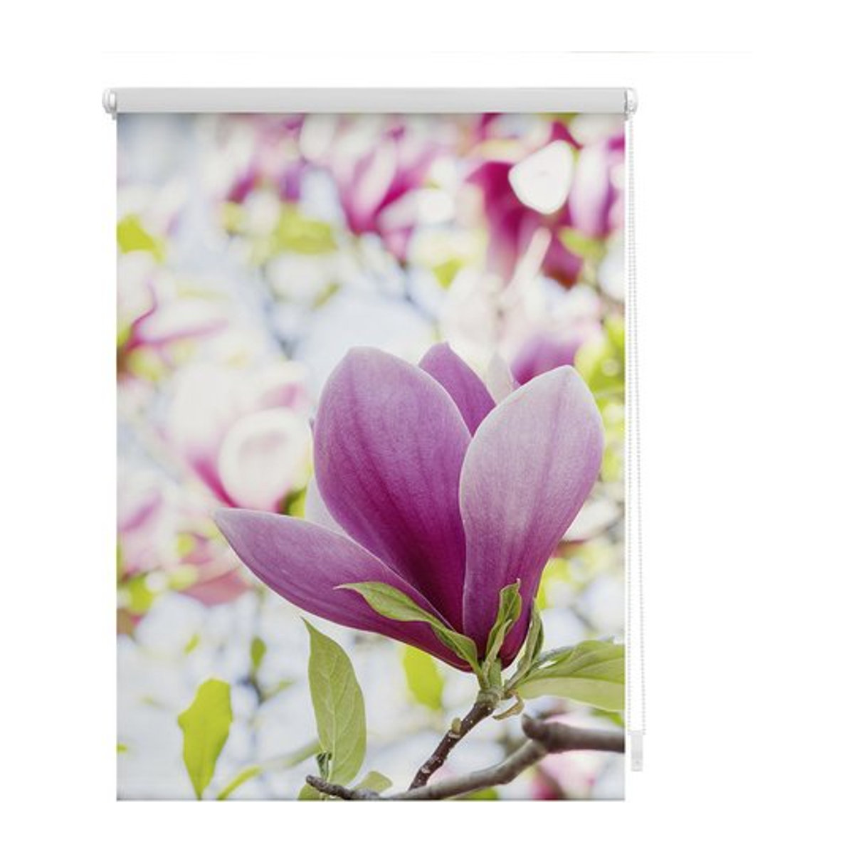 Lichtblick Rollo Klemmfix blickdicht Magnolie Rosa Rot B: 80 cm, H: 150 cm - Bild 1