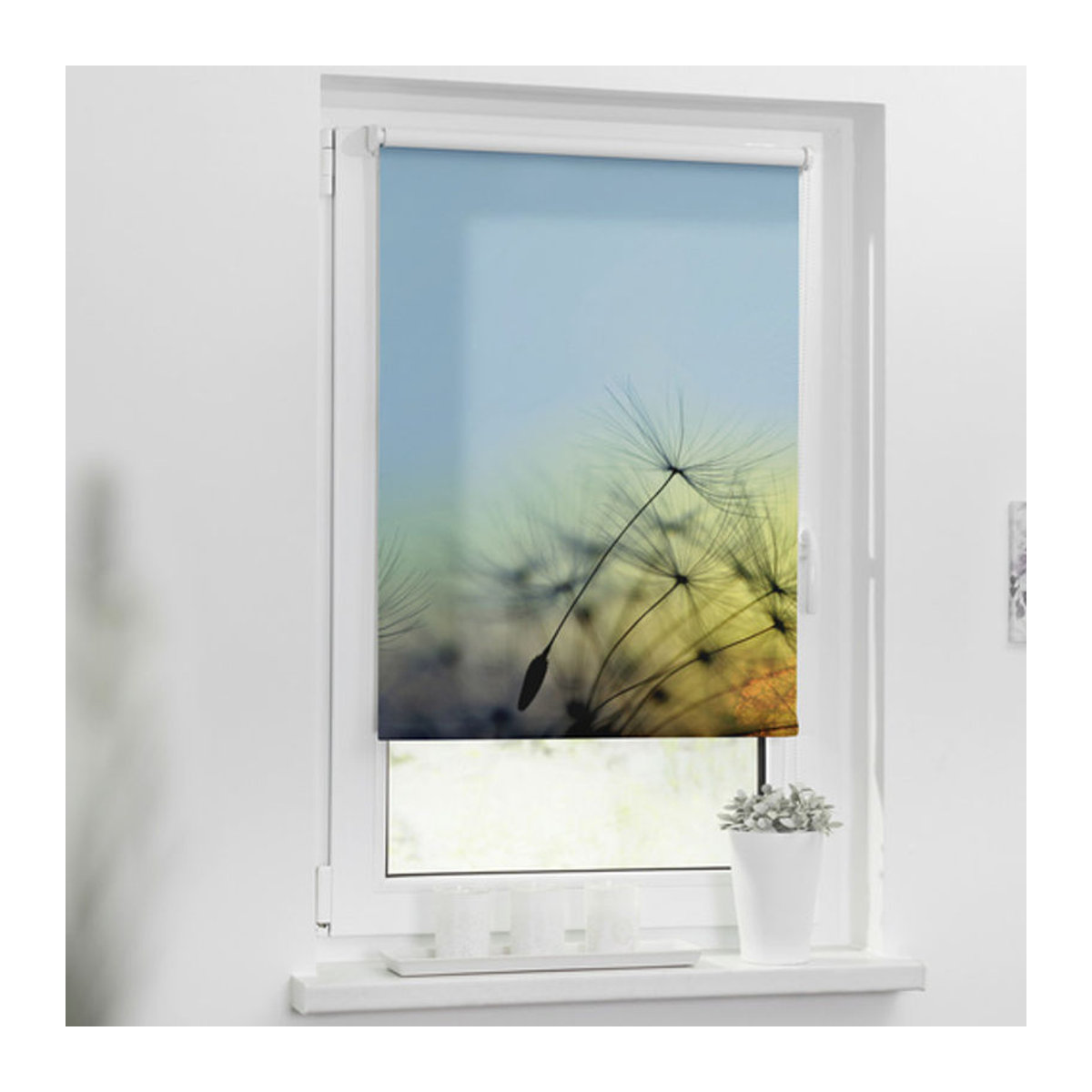 Lichtblick Rollo Klemmfix Pusteblume Blau B: 60 cm, H: 150 cm - Bild 2