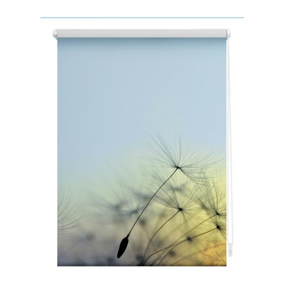 Lichtblick Rollo Klemmfix Pusteblume Blau B: 90 cm, H: 150 cm - Bild 1