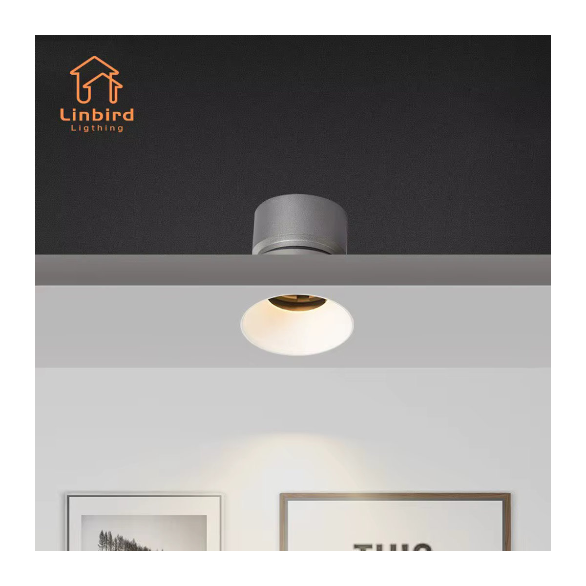LINBIRD LED Einbaustrahler im minimalistischen Design für Wohnzimmer und Galerien, verstellbar, Schwarz/Weiß - Bild 2