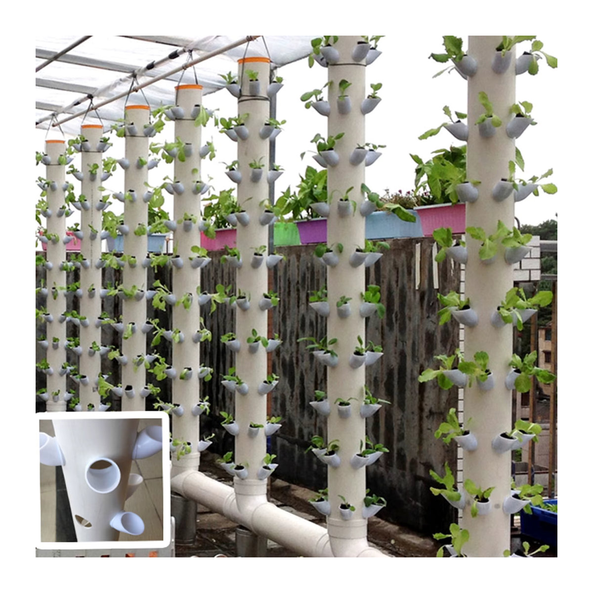 Lita Hydroponic Obst- und Gemüse-Hydrokultur-Pflanzsystem für den Garten mit Legierungs-Mehrzahnbohrer - Bild 4