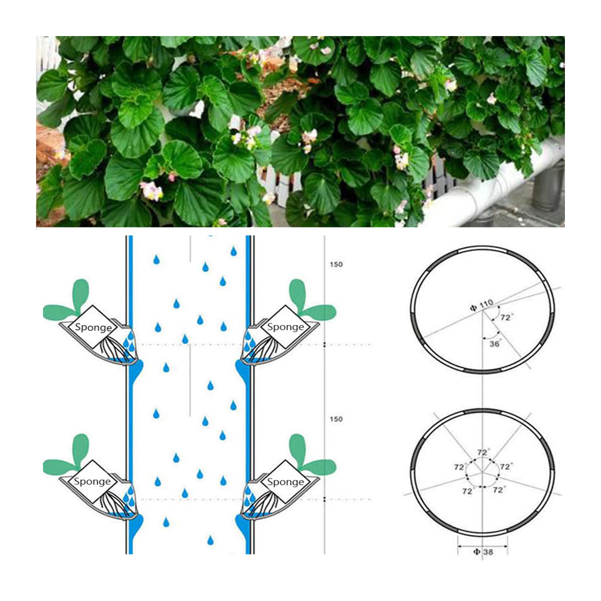Lita Hydroponic Obst- und Gemüse-Hydrokultur-Pflanzsystem für den Garten mit Legierungs-Mehrzahnbohrer - Bild 5