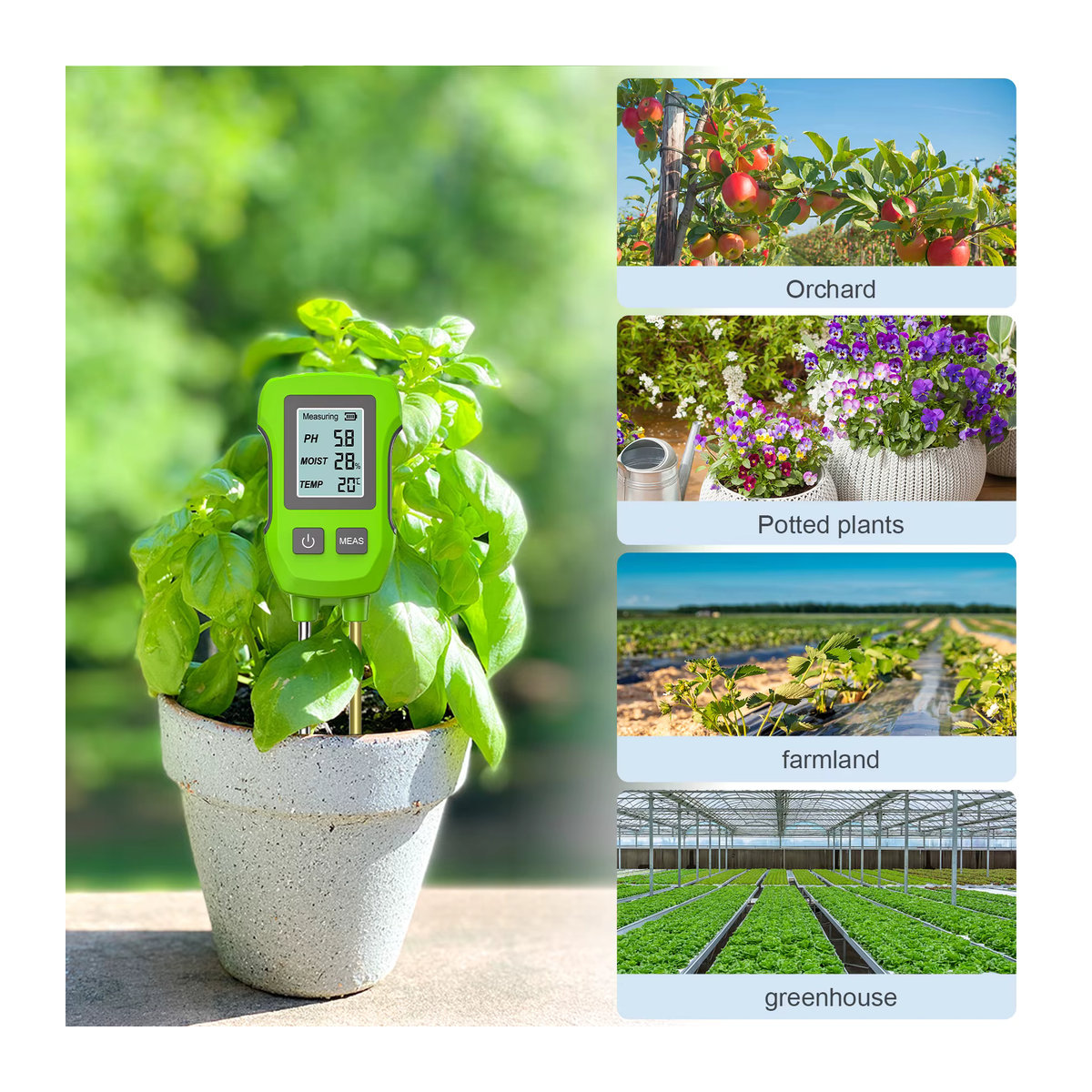 LPPCOLTD 3-in-1 Digitales Bodenmessgerät zur Messung von pH-Wert, Temperatur und Luftfeuchtigkeit mit Hintergrundbeleuchtung für Garten und Blumenpflanzen - Bild 4