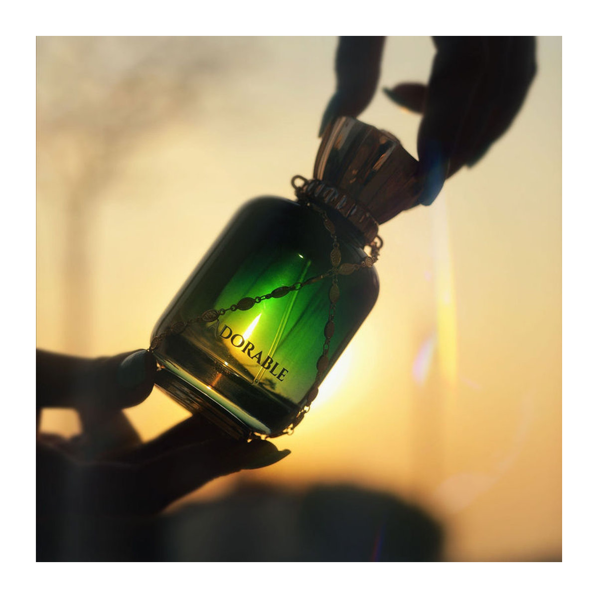 Maison Asrar Adorable Eau de Parfum Orientalisch 100ml - Bild 5