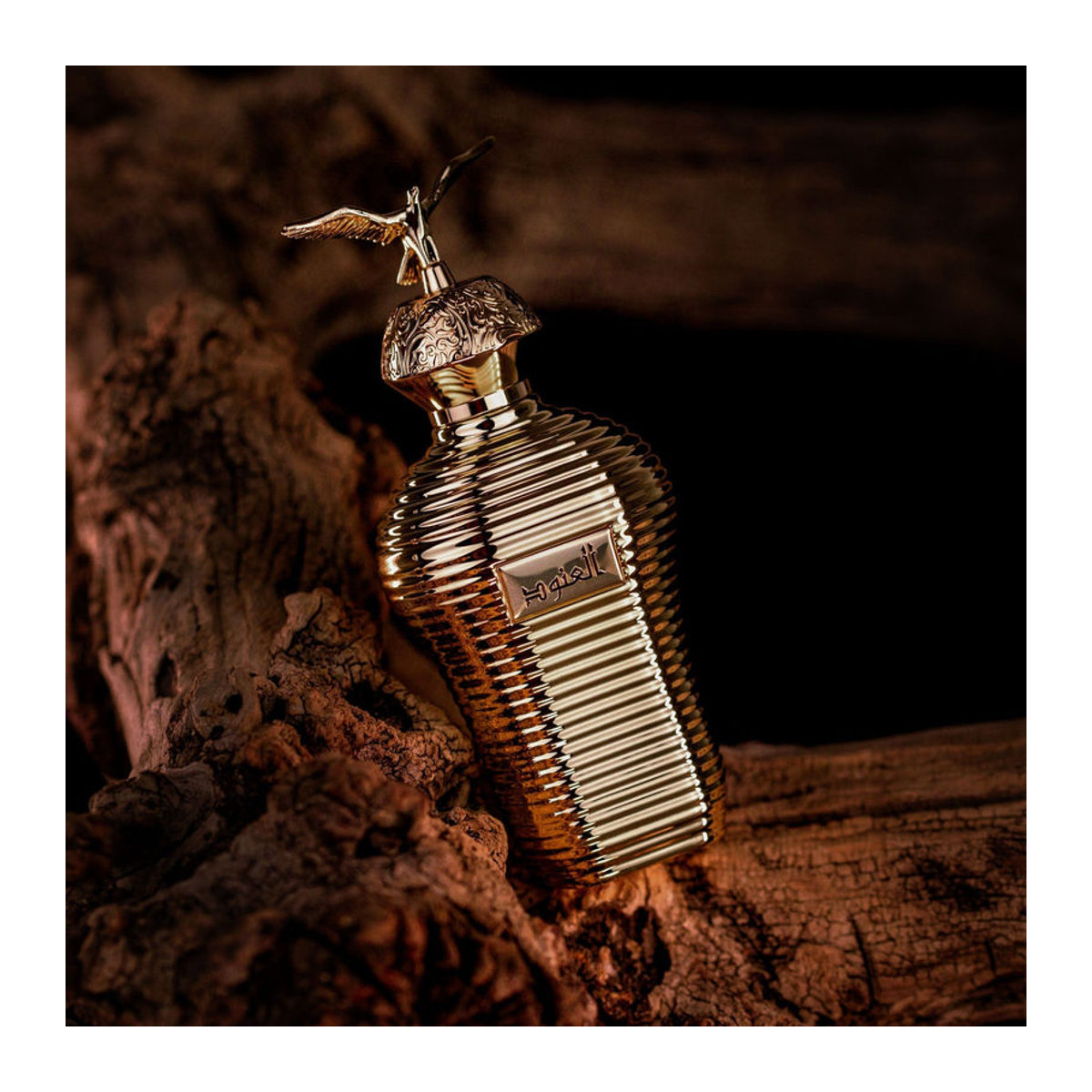 Maison Asrar Alonoud Eau de Parfum für Erwachsene in Gold - Bild 2