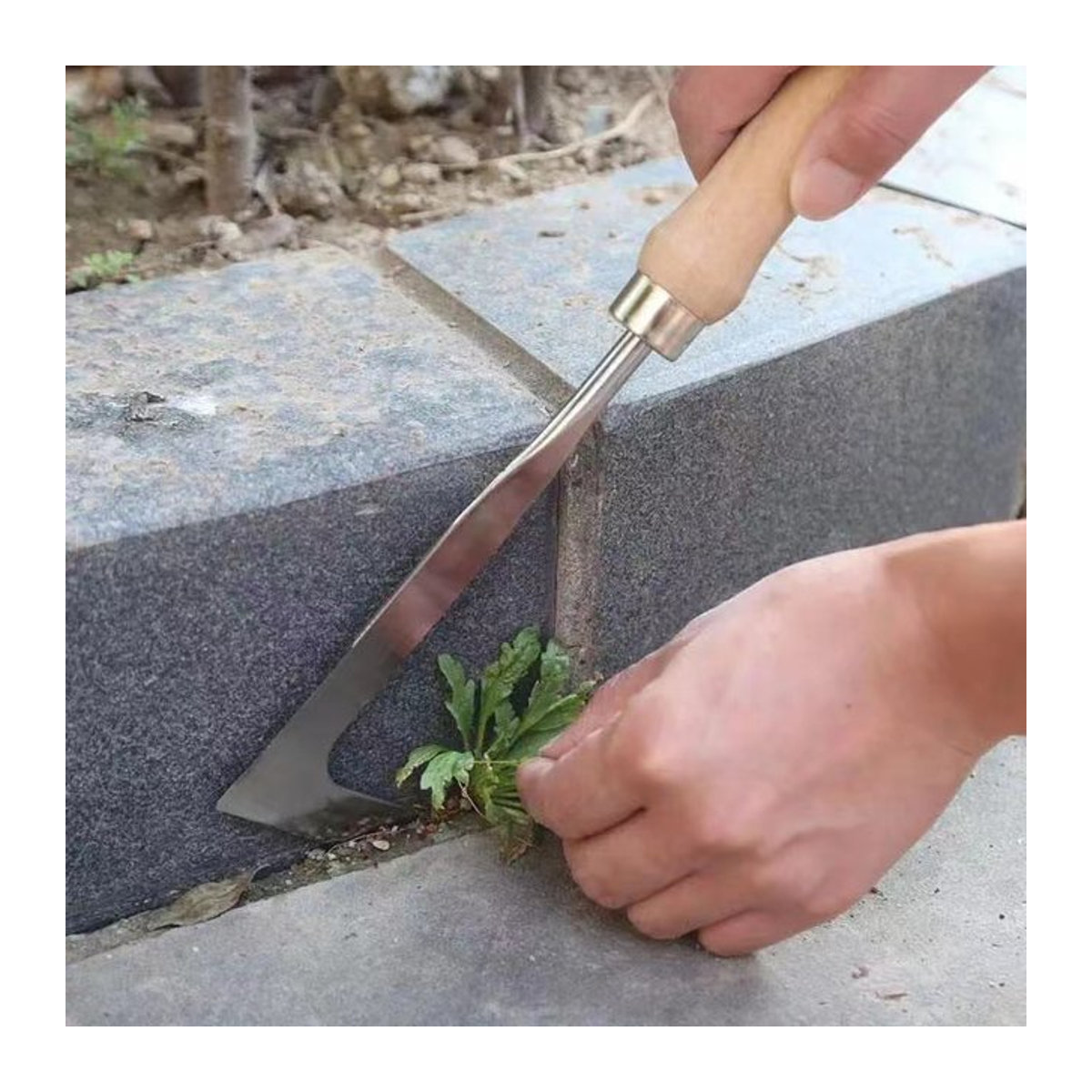 Manueller Unkrautjäter aus Edelstahl mit 11 Zähnen und L-förmigem Zugmesser zur Unkrautentfernung im Garten - Bild 1