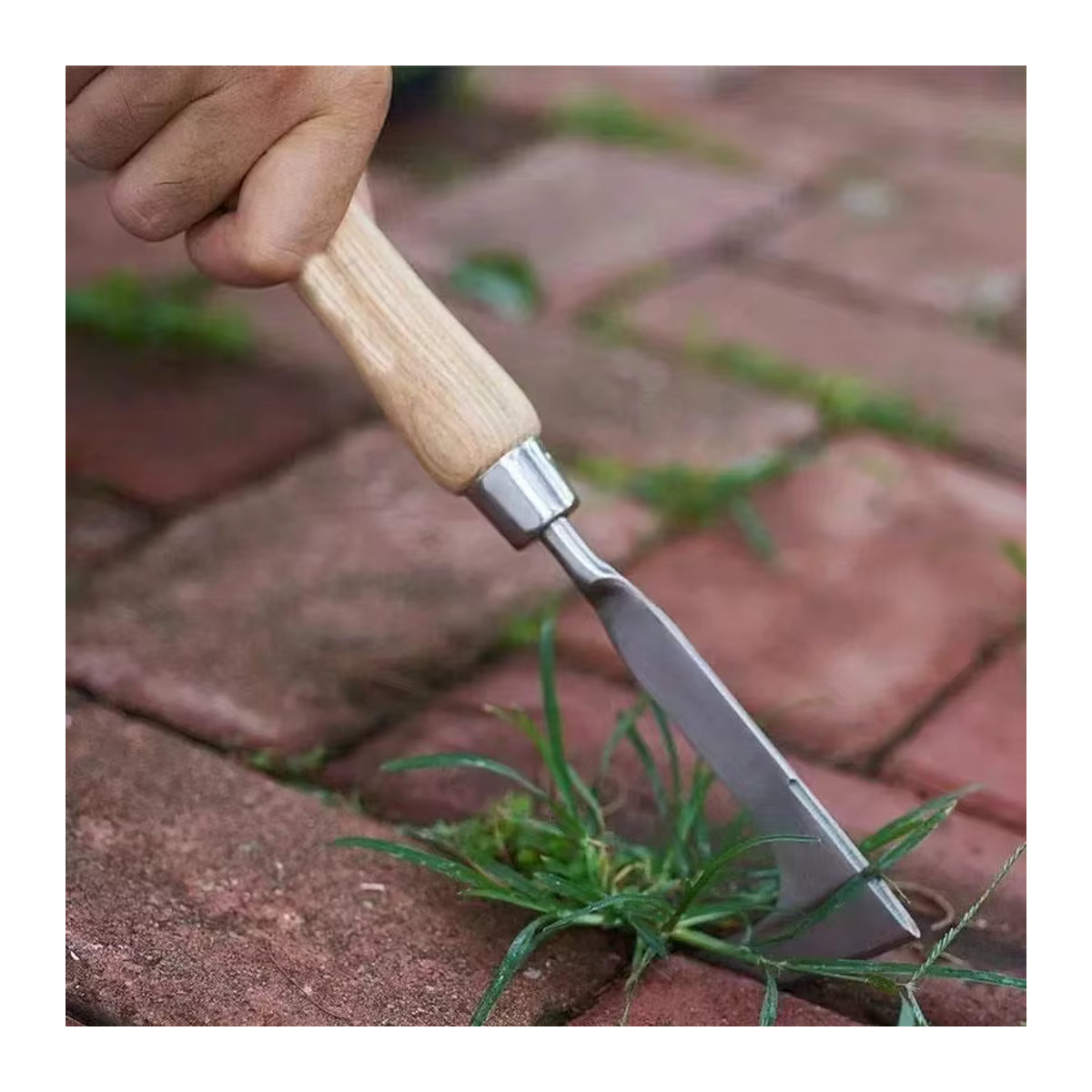 Manueller Unkrautjäter aus Edelstahl mit 11 Zähnen und L-förmigem Zugmesser zur Unkrautentfernung im Garten - Bild 3