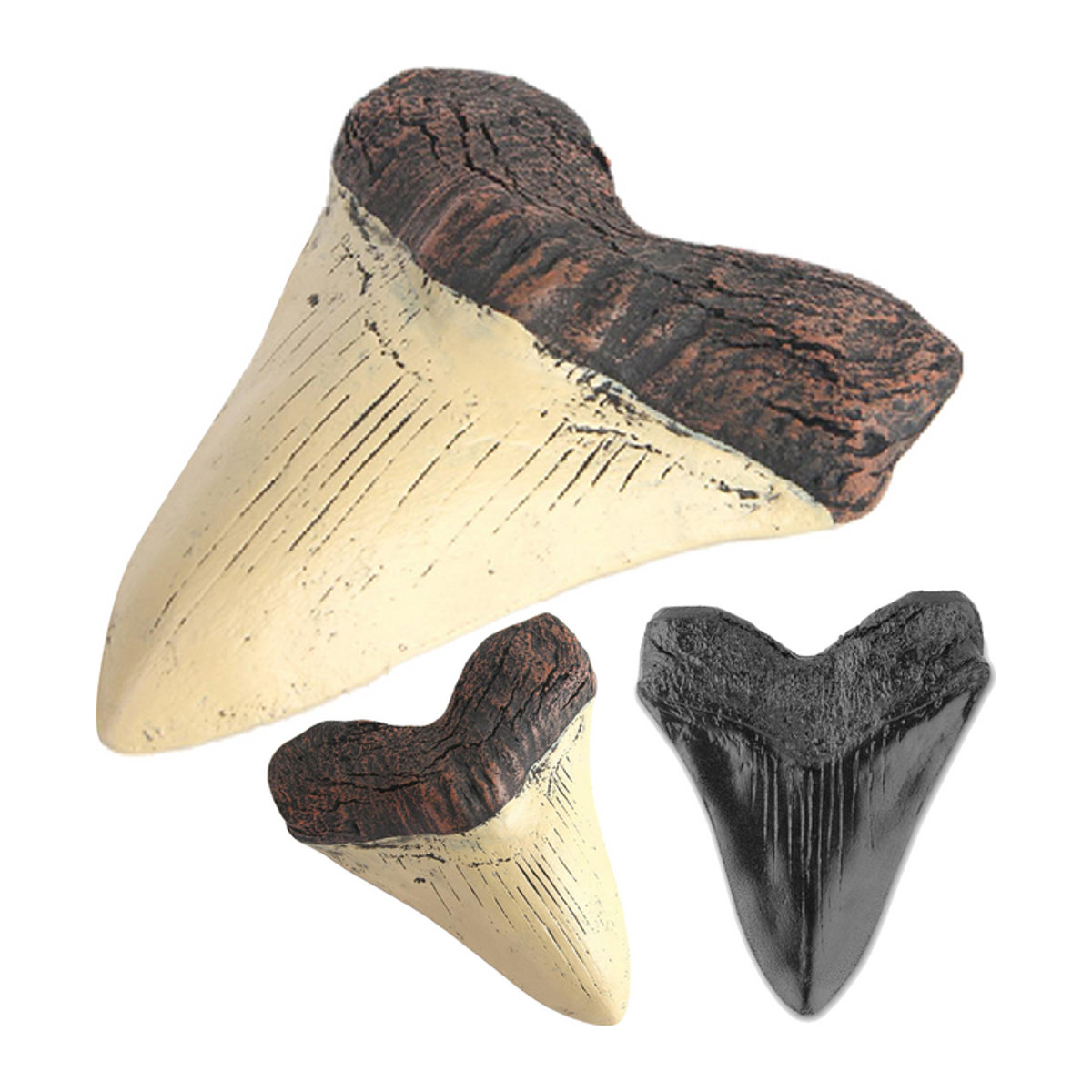 Marine Bology Megalodon Haifischzahn-Replik aus Kunstharz in Beige, Modell für Kinder und Heimdekoration, Höhe: 12,7 cm - Bild 1