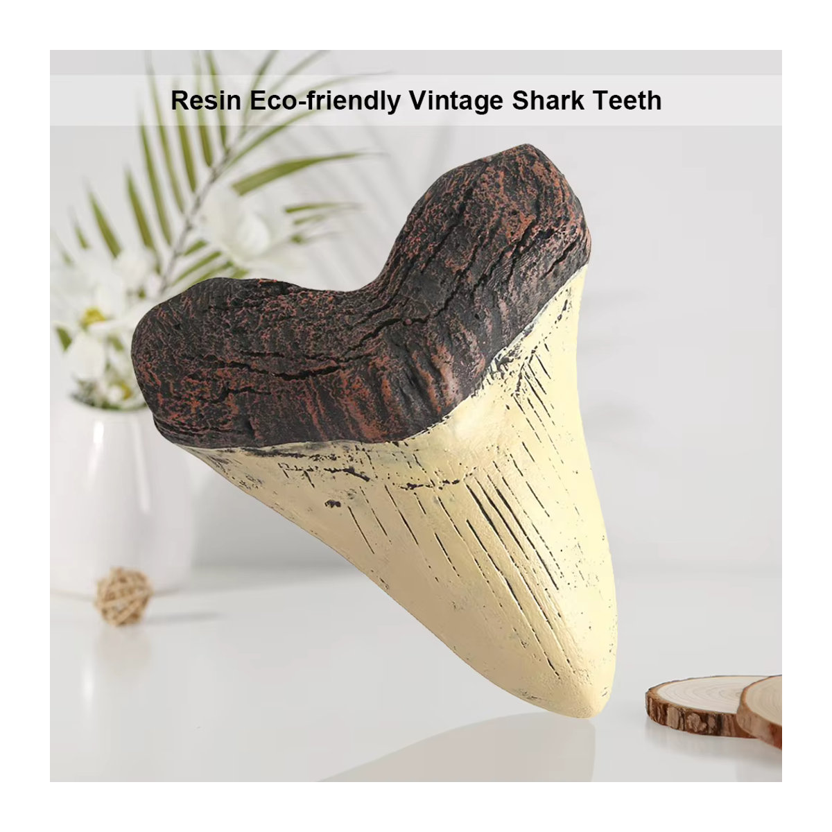 Marine Bology Megalodon Haifischzahn-Replik aus Kunstharz in Beige, Modell für Kinder und Heimdekoration, Höhe: 12,7 cm - Bild 2