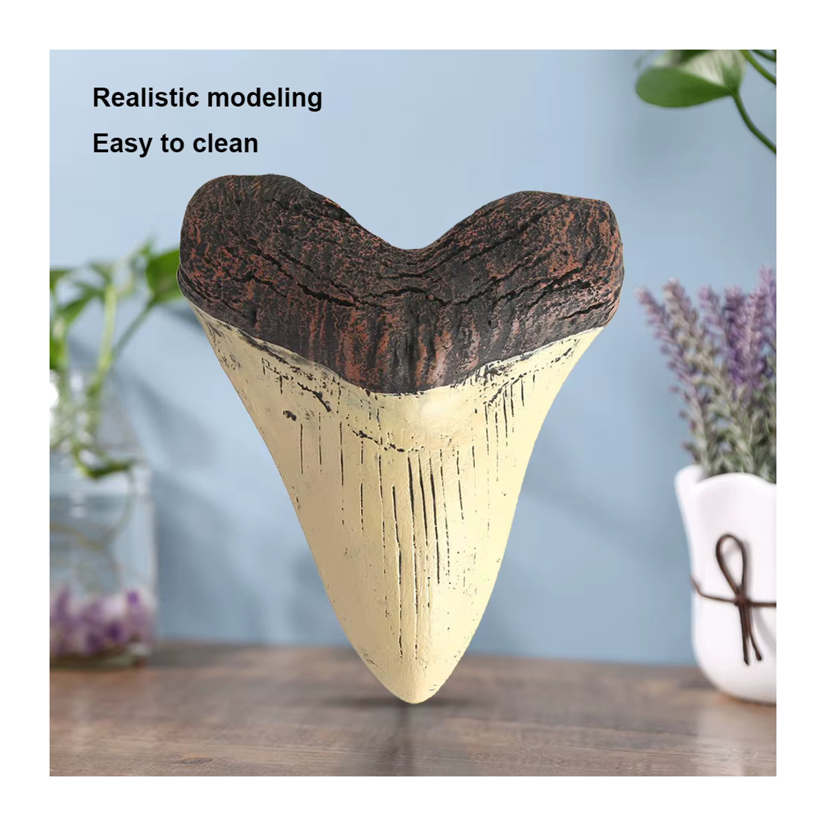 Marine Bology Megalodon Haifischzahn-Replik aus Kunstharz in Beige, Modell für Kinder und Heimdekoration, Höhe: 12,7 cm - Bild 4