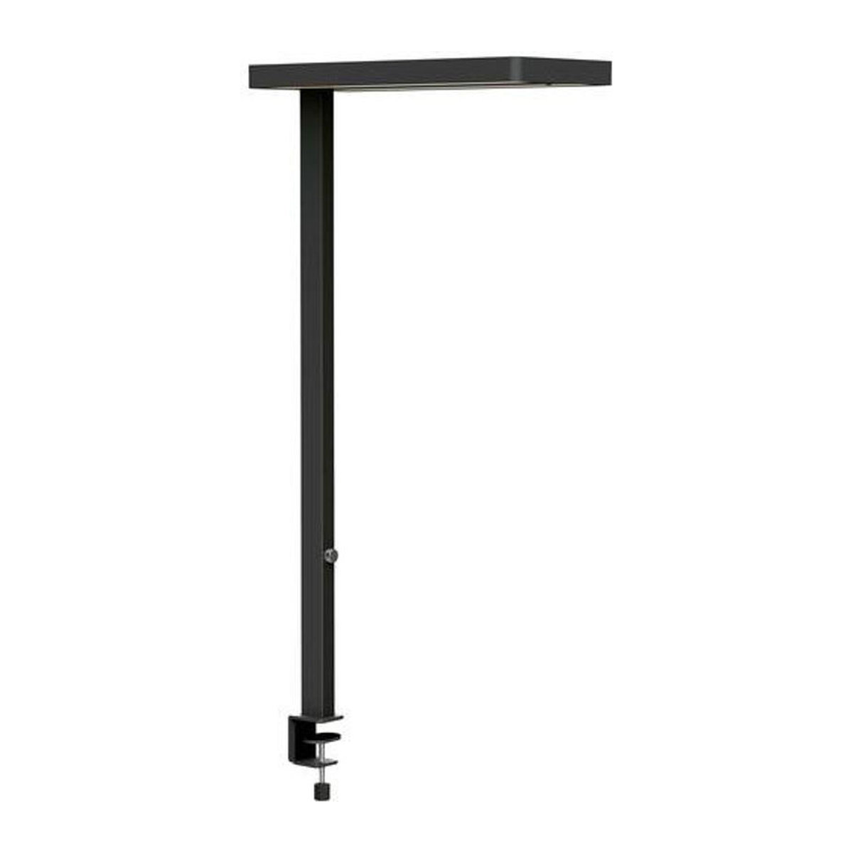 MAULjuvis LED-Tischlampe Schwarz mit integrierter Lichtquelle und Bewegungssensor - Bild 1