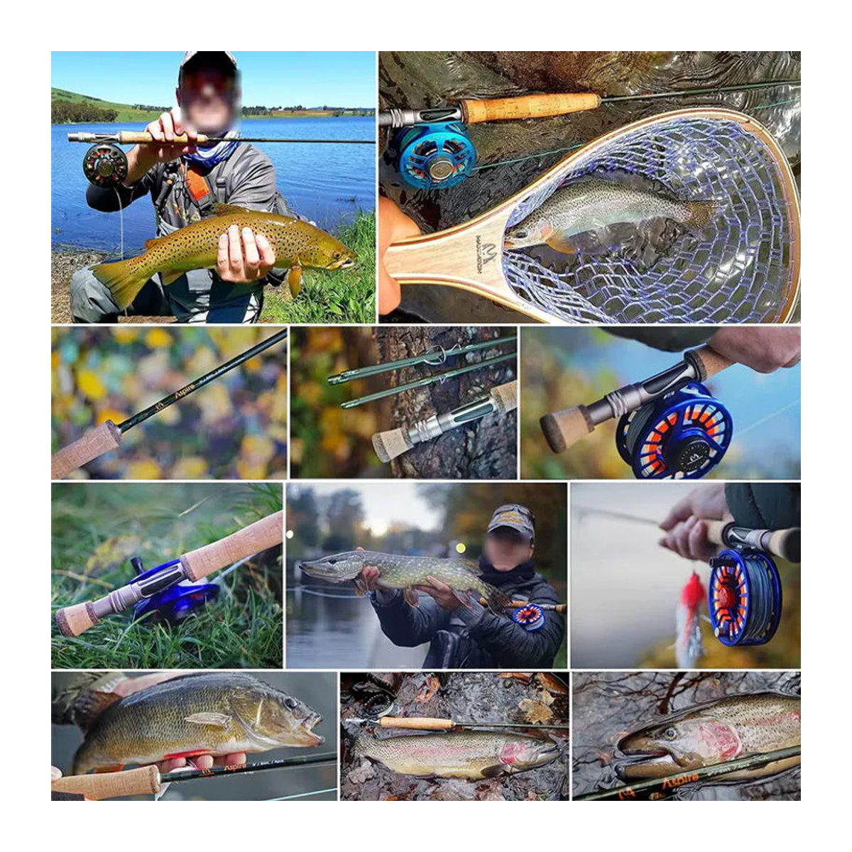 Maximumcatch Aspire Fliegenrute aus grüner Kohlefaser mit Röhrenetui, 9FT, 5/6/8WT, Fast Action, IM10 40T - Bild 4