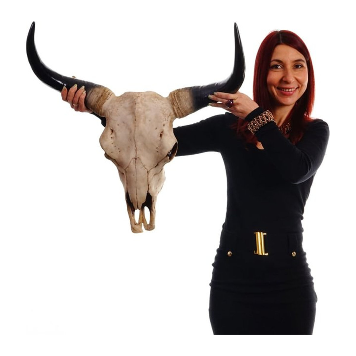 MCW Deko Schädel Stier Longhorn Kopf Trophäe aus Kunstharz in Natur Beige, Höhe: 64 cm - Bild 1