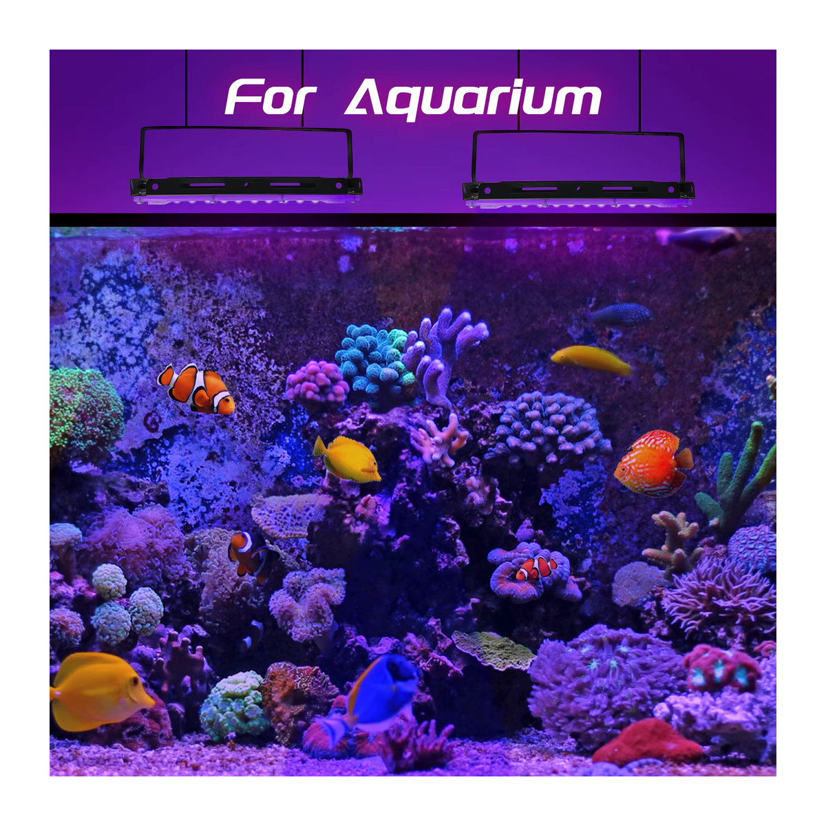 Meerox LED UV-Schwarzlicht Außenstrahler in Schwarz mit 150 W und 395 nm für Disco-Glow-Partys - Bild 6