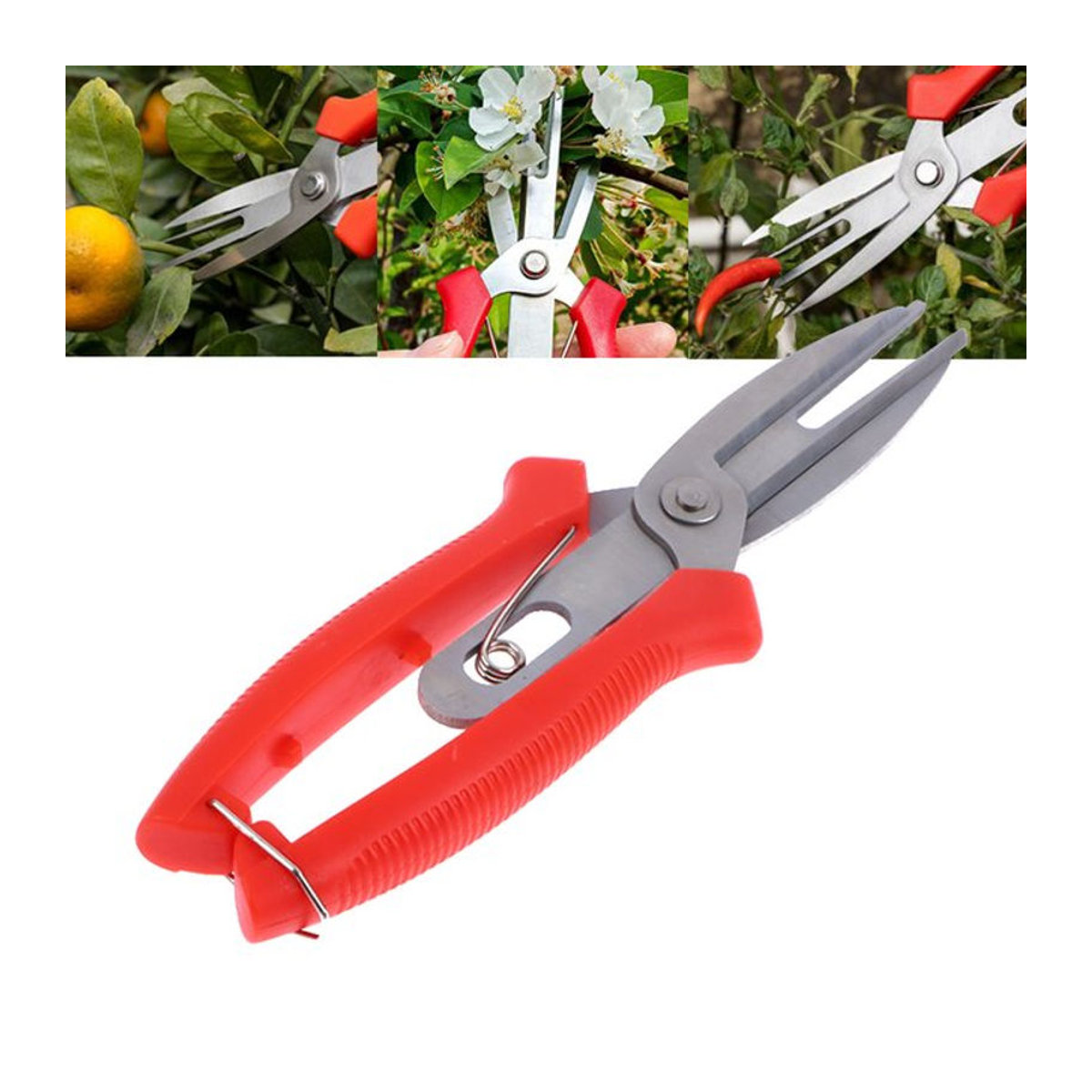 Mehrzweck Ausdünnungsschere für Obstbäume und Blumen zur landwirtschaftlichen Nutzung - Bild 1