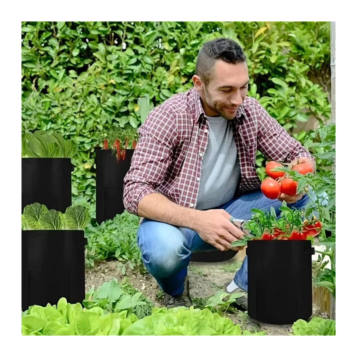 Meizhi Kartoffelpflanzsack rund in Dunkelgrün, atmungsaktiver Pflanzsack für Gartenbau und Gemüsepflanzen - Bild 2
