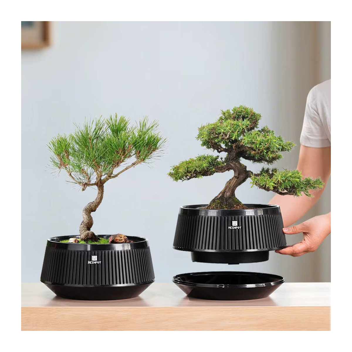 Meshpot Bonsai-Topf aus Kunststoff mit Drainagebehälter und Luftbeschneidung, Schwarz - Bild 2