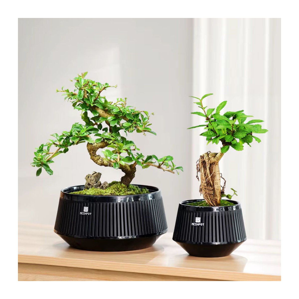 Meshpot Bonsai-Topf aus Kunststoff mit Drainagebehälter und Luftbeschneidung, Schwarz - Bild 5