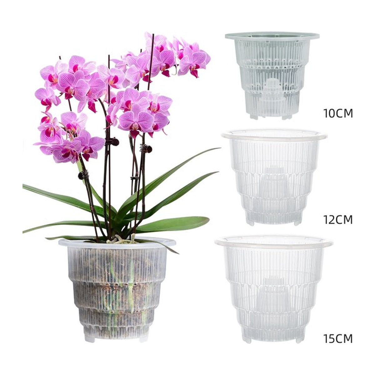 MESHPOT Durchsichtige Orchideentöpfe aus Kunststoff mit Luftschnittfunktion und Wurzelwachstumsfächern, Durchmesser: 10 cm, 12 cm, 15 cm - Bild 1