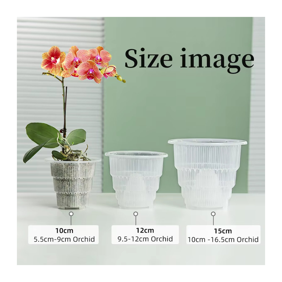 MESHPOT Durchsichtige Orchideentöpfe aus Kunststoff mit Luftschnittfunktion und Wurzelwachstumsfächern, Durchmesser: 10 cm, 12 cm, 15 cm - Bild 6