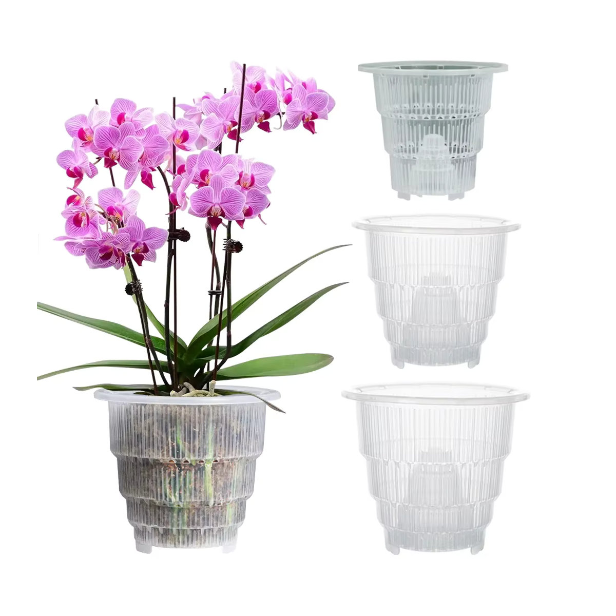 MESHPOT Durchsichtige Orchideentöpfe aus Kunststoff mit Luftschnittfunktion und Wurzelwachstumsfächern, Durchmesser: 10 cm, 12 cm, 15 cm - Bild 7