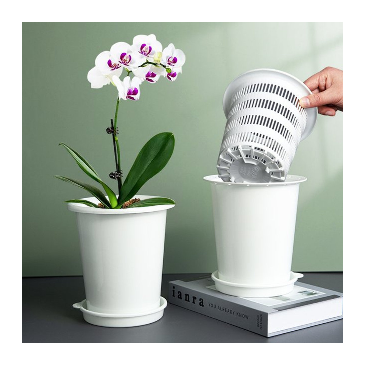 MESHPOT Kunststoff-Blumentopf als doppelschichtiger Orchideentopf mit Belüftungslöchern zum Umfüllen von Pflanzen - Bild 1