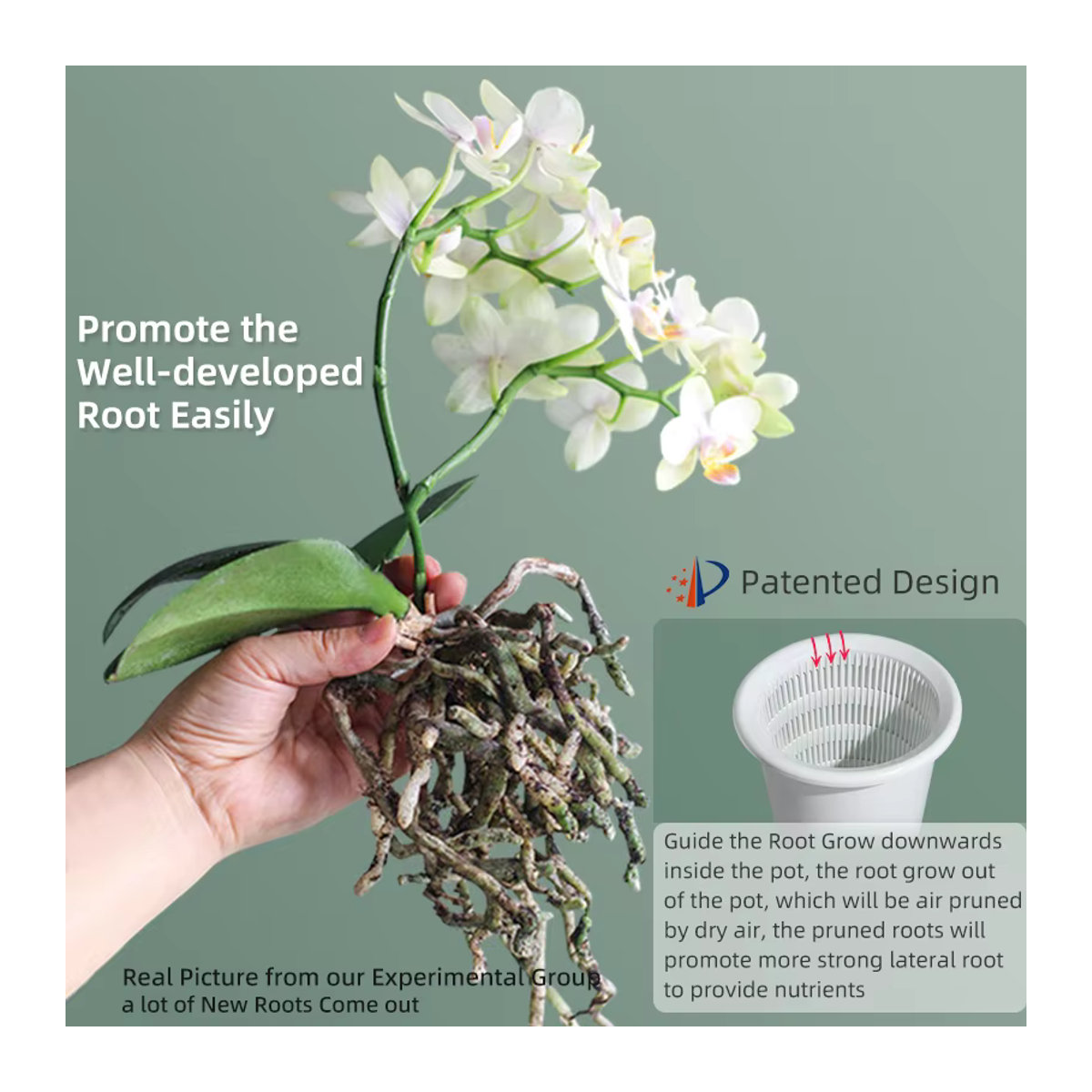 MESHPOT Kunststoff-Blumentopf als doppelschichtiger Orchideentopf mit Belüftungslöchern zum Umfüllen von Pflanzen - Bild 4