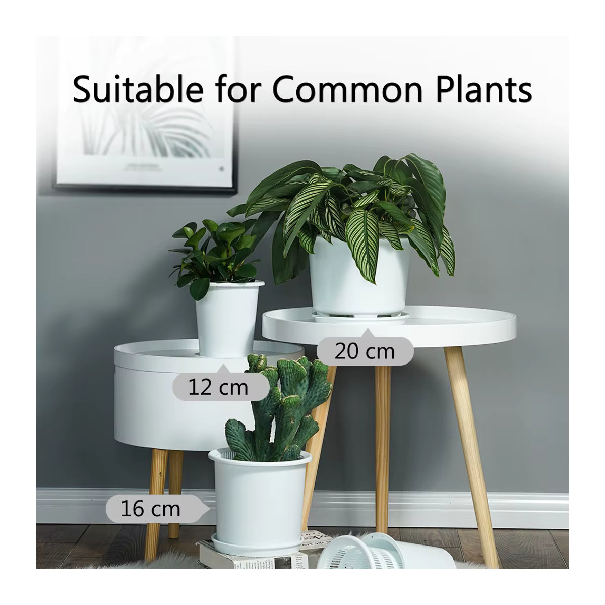 MESHPOT Kunststoff-Blumentopf als doppelschichtiger Orchideentopf mit Belüftungslöchern zum Umfüllen von Pflanzen - Bild 6