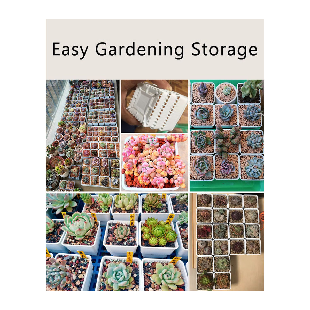MESHPOT Sukkulententopf aus Kunststoff für Kaktus und Lithops mit Wurzelkontrolle, 10er Set, Schwarz und Weiß - Bild 5