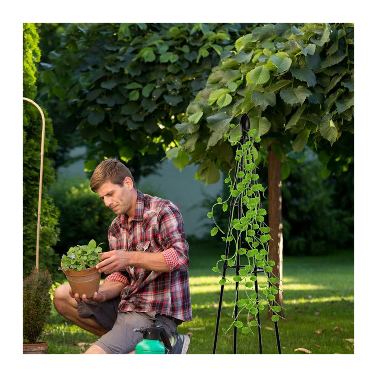 Metall Kletterpflanzenstütze als Gitter für Gartenreben, Rosen und Blumen auf dem Balkon - Bild 3