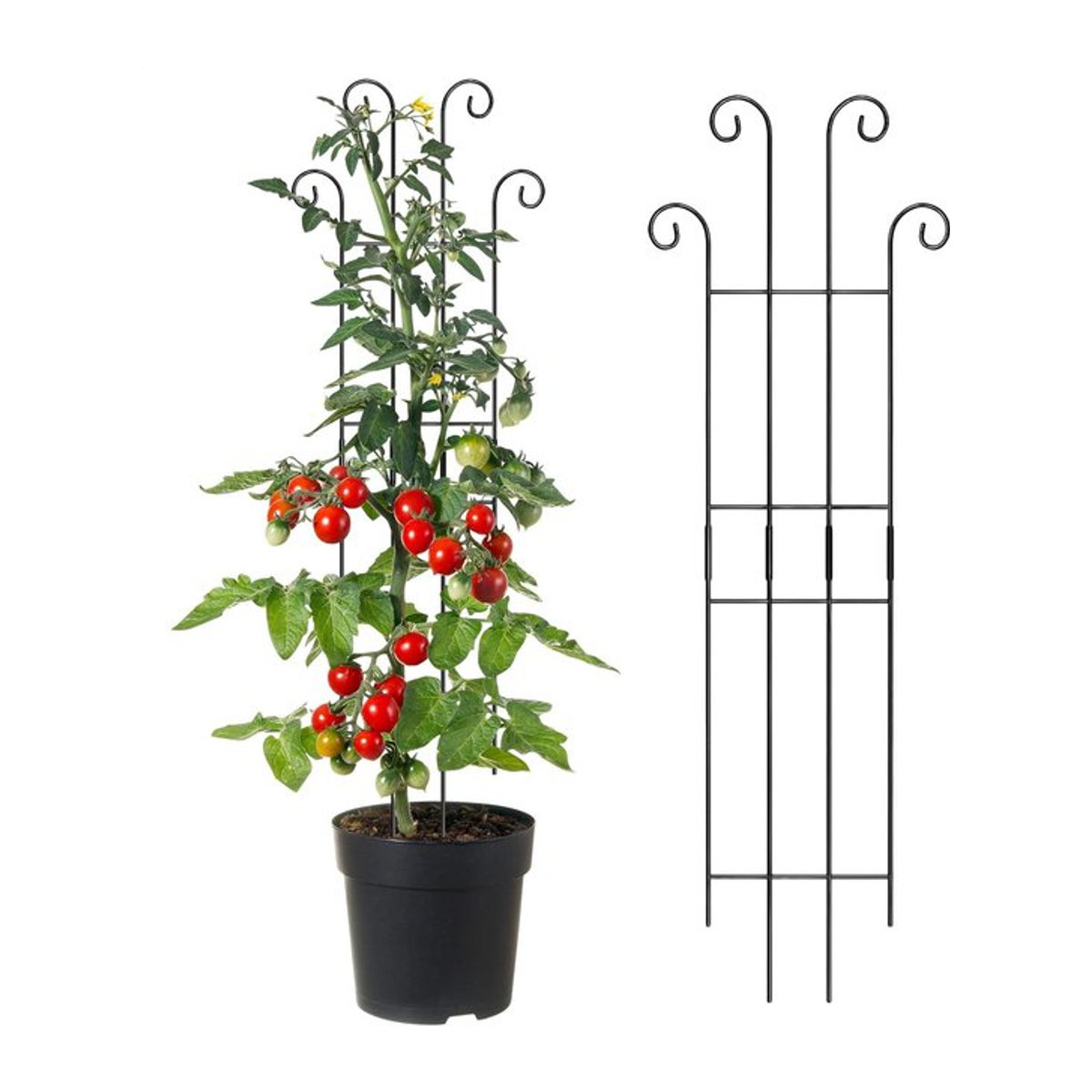 Metall-Pflanzengitter als Kletterhilfe für vertikale Gärten und Rankpflanzen wie Monstera, Tomaten oder Efeu für Innen und Außen - Bild 1