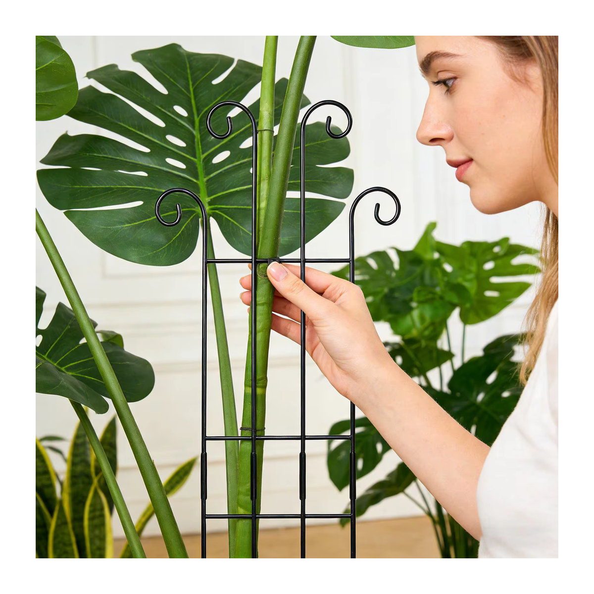 Metall-Pflanzengitter als Kletterhilfe für vertikale Gärten und Rankpflanzen wie Monstera, Tomaten oder Efeu für Innen und Außen - Bild 4