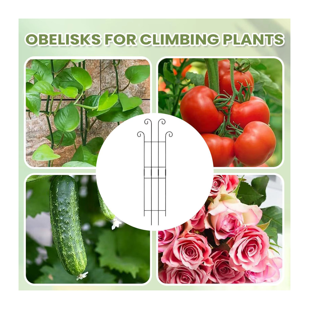 Metall-Pflanzengitter als Kletterhilfe für vertikale Gärten und Rankpflanzen wie Monstera, Tomaten oder Efeu für Innen und Außen - Bild 5