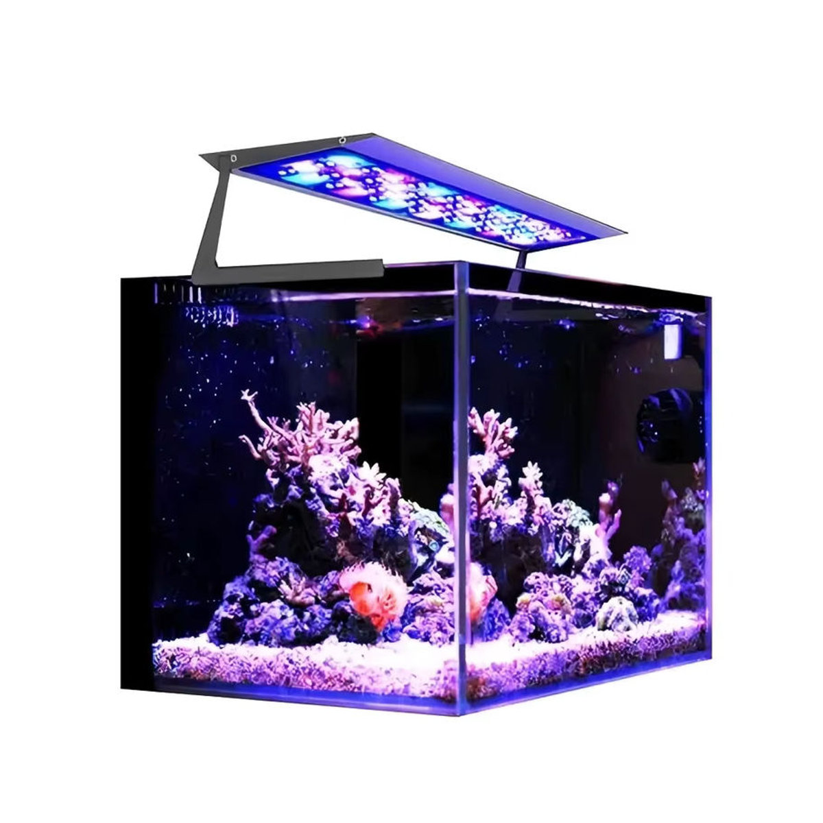 MicMol Aqua Air Pro Series Smart WIFI Control Vollspektrum-LED-Licht für Meerwasser-Aquarien im iPhone-Style - Bild 5