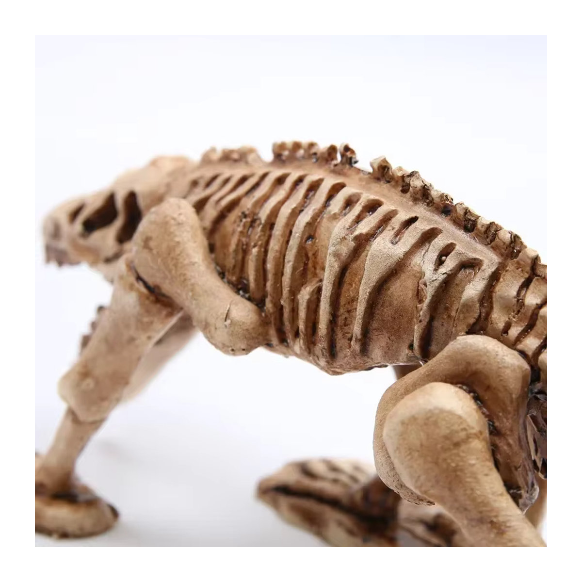MINIDEAL Schädel Aquarium Dekoration aus Kunstharz in Beige als Halloween Ornament und Desktop-Dekoration - Bild 5