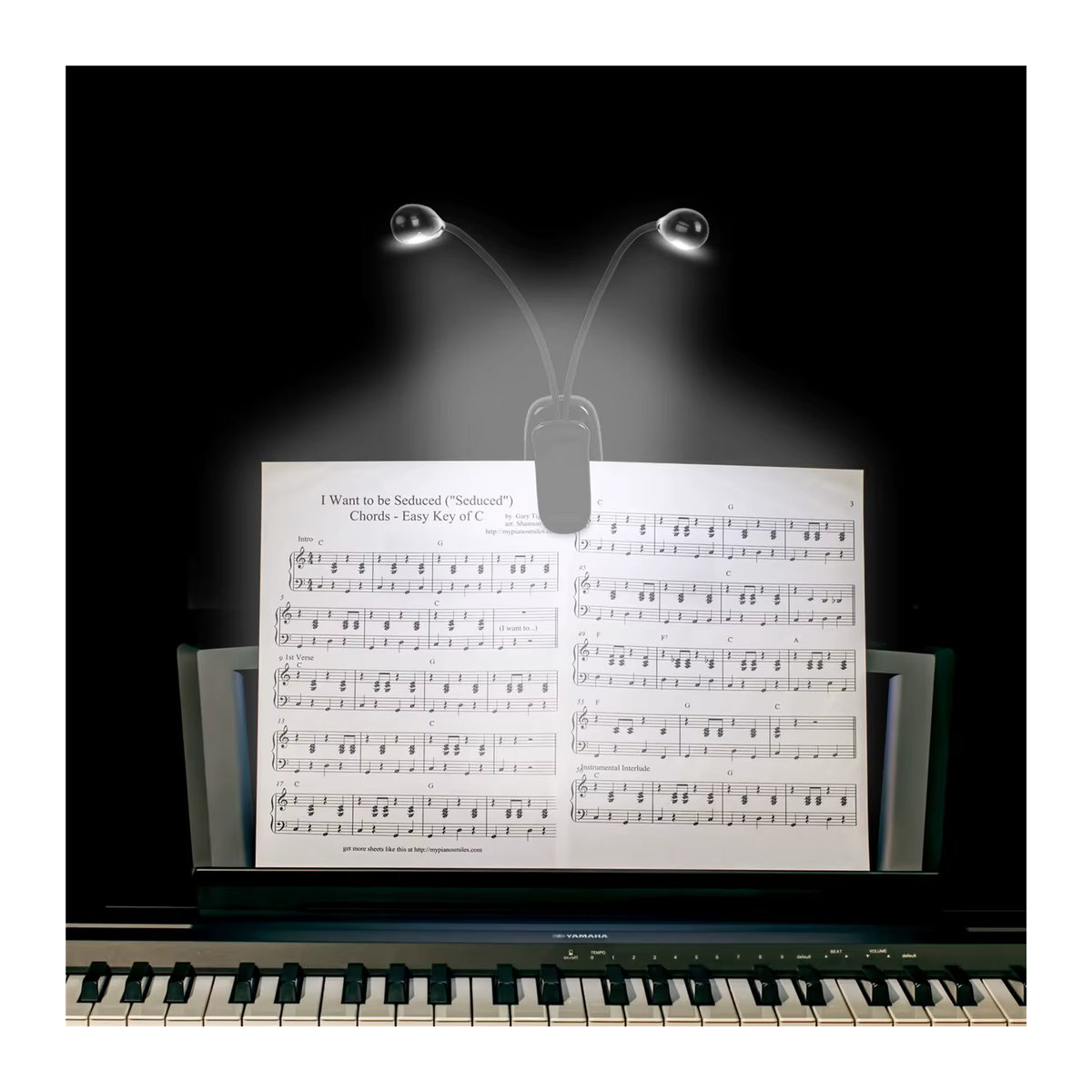 Miwayer LED Clip-On Leseleuchte mit 4 Helligkeitsstufen, USB und AAA-Batterie betrieben, minimalistisches Design für Bücher und Musikständer - Bild 2
