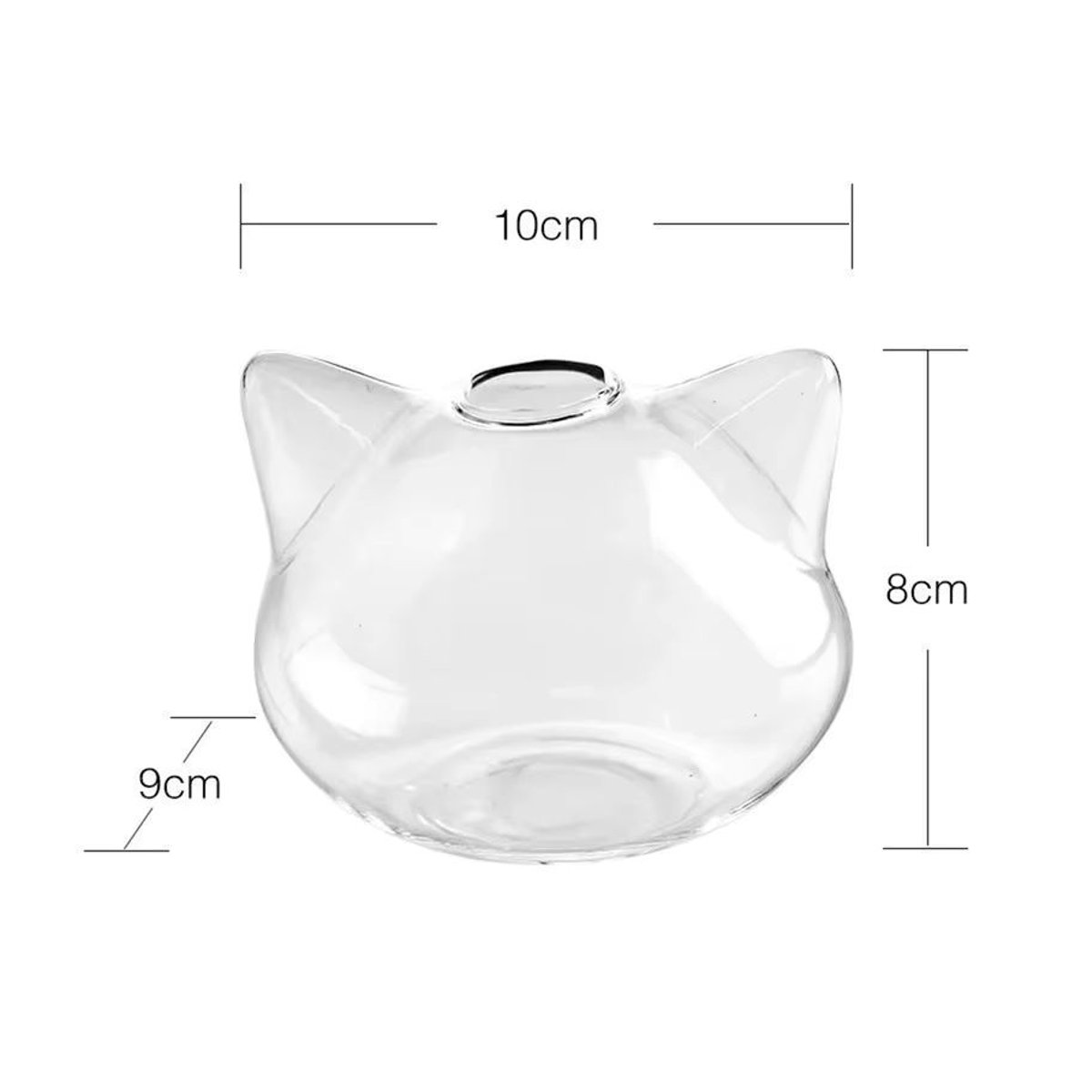 Moderne Cartoon Katze Hydrokultur Glas Vase in Transparent für Sukkulenten und Schnittblumen - Bild 2