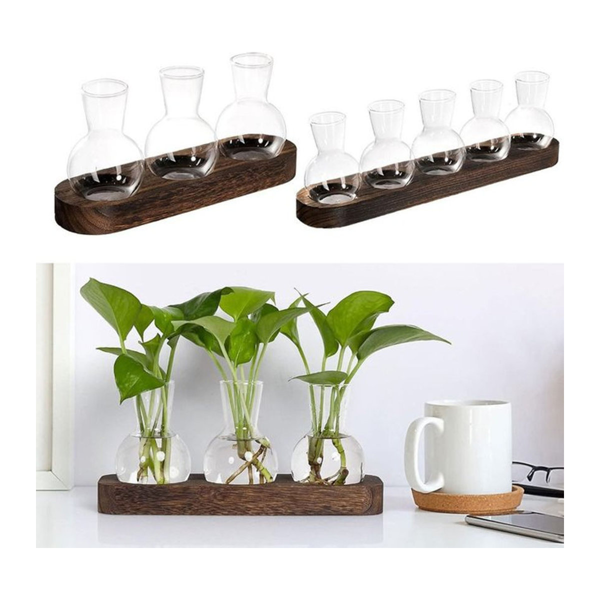 Moderne Pflanzenterrarium-Vermehrungsstation aus Glas und Holz mit flaschenförmigen Vasen in Transparent und Braun - Bild 1